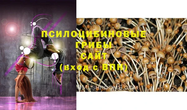 шишки Алзамай