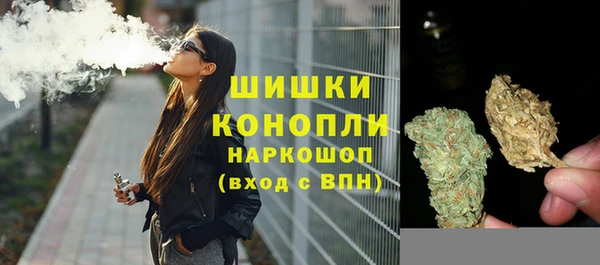 шишки Алзамай