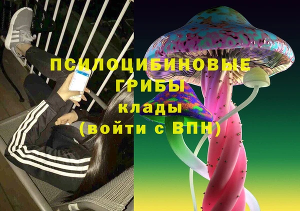 шишки Алзамай
