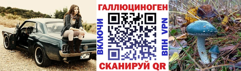 Галлюциногенные грибы Magic Shrooms  Жирновск 